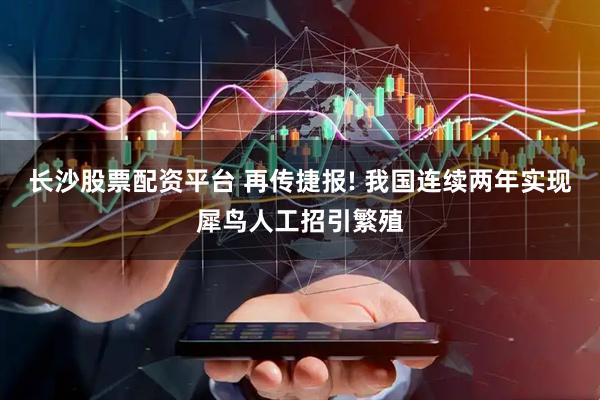 长沙股票配资平台 再传捷报! 我国连续两年实现犀鸟人工招引繁殖